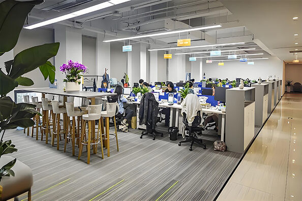 Chongqing Friezheer Technology Co., Ltd.